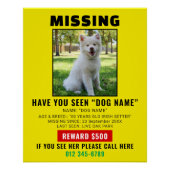 Dringende Vermiste Hond Huisdier Alert Sjabloon Perfect Poster (Voorkant)