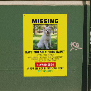 Dringende Vermiste Hond Huisdier Alert Sjabloon Perfect Poster