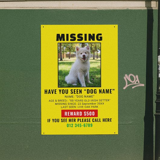 Dringende Vermiste Hond Huisdier Alert Sjabloon Perfect Poster