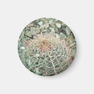 Dringende wascactus Koelkast Gift Magnet