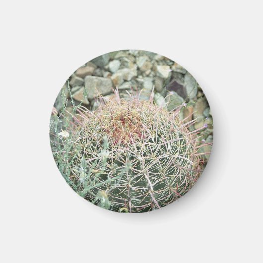 Dringende wascactus Koelkast Gift Magnet (Voorkant)