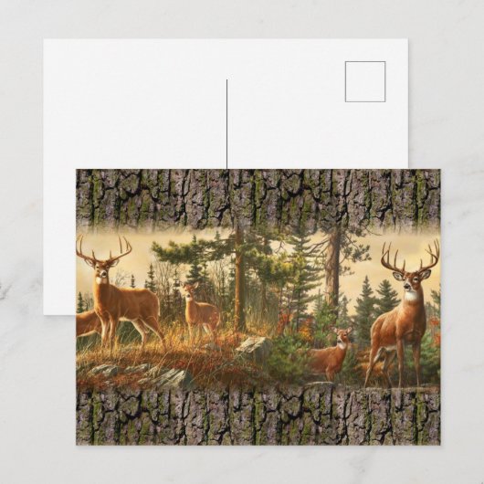 Dringerwaarschuwingspatroon Briefkaart (Voorkant / Achterkant)