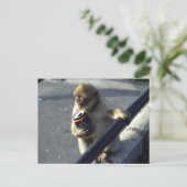 Drink aap briefkaart (Staand voorkant)