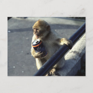 Drink aap briefkaart
