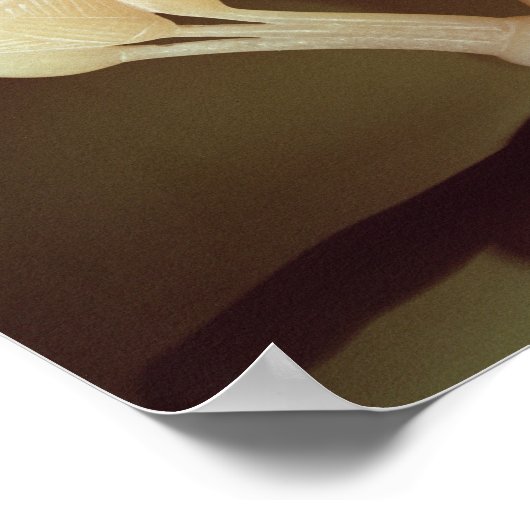 Drink beker in de vorm van een halfgeopend poster (Hoek)