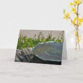 Drink bijen, Phoenix, Arizona Kaart (Gele Bloem)