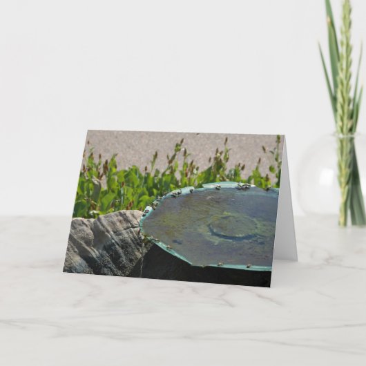 Drink bijen, Phoenix, Arizona Kaart (Voorkant)