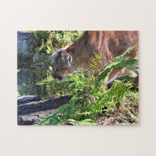 Drink Cougar - Florida Panther Puzzle Legpuzzel