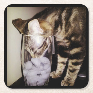 Drink dief Cat van Shirley Taylor Kartonnen Onderzetters