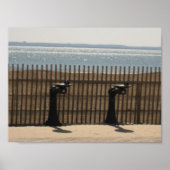 Drink fonteinen op de stoep poster (Voorkant)