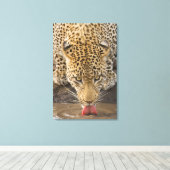 Drink leopard, Nationaal Park Greater Kruger, Canvas Afdruk (Insitu (Houten vloer))