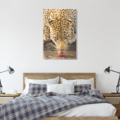 Drink leopard, Nationaal Park Greater Kruger, Canvas Afdruk (Insitu (Slaapkamer))