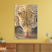 Drink leopard, Nationaal Park Greater Kruger, Canvas Afdruk (Insitu (Woonkamer))