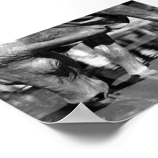 Drink Longhorn Poster (Hoek)