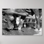 Drink Longhorn Poster (Voorkant)