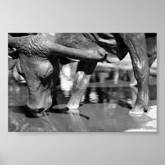 Drink Longhorn Poster