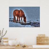 Drink Red Dun Ranch Horse Equine Foto Poster (Keuken)