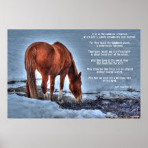 Drink Red Dun Ranch Horse & Equine Poem