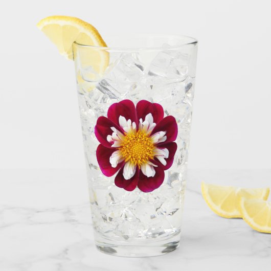 Drink rode en witte collarette Dahlia Floral Glas (Voorkant ijs)