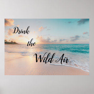 Drink van het Poster van de Wilde Luchtvaart