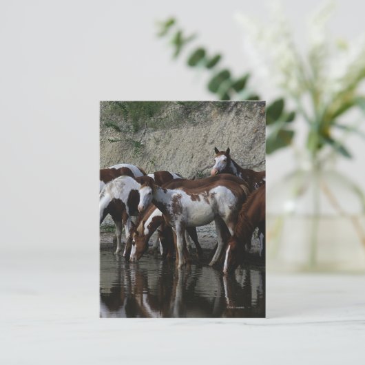 Drink verfpaarden briefkaart (Staand voorkant)
