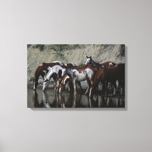 Drink verfpaarden canvas afdruk (Voorkant)