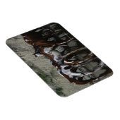 Drink verfpaarden magneet (Rechterzijde)