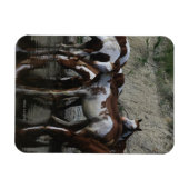 Drink verfpaarden magneet (Horizontaal)