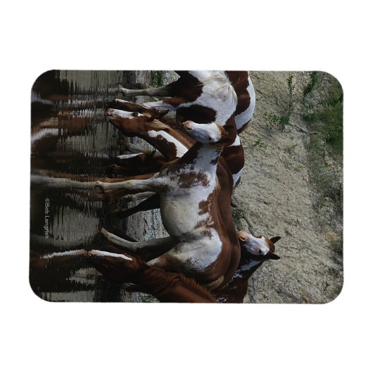 Drink verfpaarden magneet (Horizontaal)
