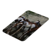 Drink verfpaarden magneet (Linkerzijde)