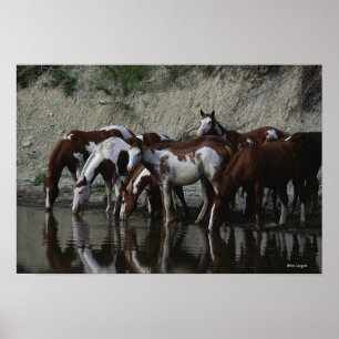 Drink verfpaarden poster