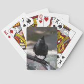 Drink vogelspeelkaarten Standard Index Speelkaarten (Achterkant)