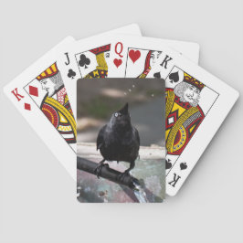Drink vogelspeelkaarten Standard Index Speelkaarten