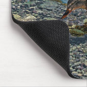 Drink Vrouw Mallard Duck Birdlover Wildlife Muismat (Hoek)