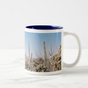 Drinkbeker Arizona Sonoran Desert Panorama Afbeeld Tweekleurige Koffiemok