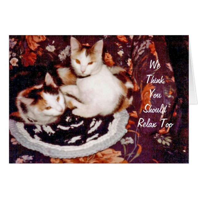 Drinken Kaart katten (Voorkant Horizontaal)