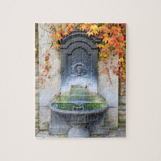 Drinkfontein in de herfst, Hongarije Legpuzzel (Verticaal)
