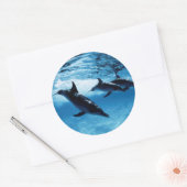 Drio dolfijnen ronde sticker (Envelop)