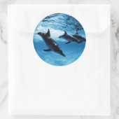 Drio dolfijnen ronde sticker (Tas)