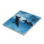 Drio dolfijnen tegeltje (Zijkant)