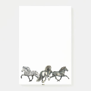 Drio van IJslanders Post-it® Notes