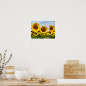 Drio zonnebloemen poster (Keuken)