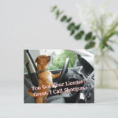 Driver’s License Congratulations Postcard Briefkaart (Staand voorkant)