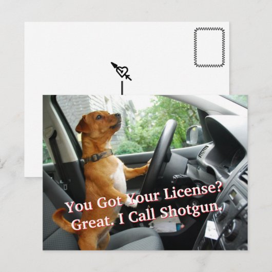 Driver’s License Congratulations Postcard Briefkaart (Voorkant / Achterkant)