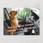 Driver’s License Congratulations Postcard Briefkaart (Voorkant)