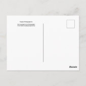 Drivers voor de achtertuin in zwart-wit 67 briefkaart (Achterkant)