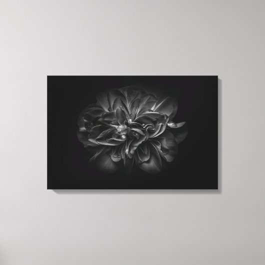 Drivers voor de achtertuin in zwart-wit 67 canvas afdruk (Voorkant)