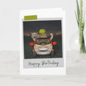 Driving Cats Funny Birthday Card Kaart (Voorkant)