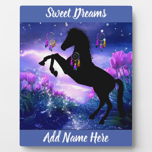 Drocatcher Fotoplaat (Voorkant)