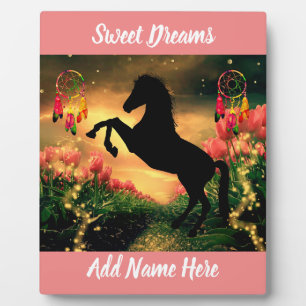 Drocatcher Fotoplaat